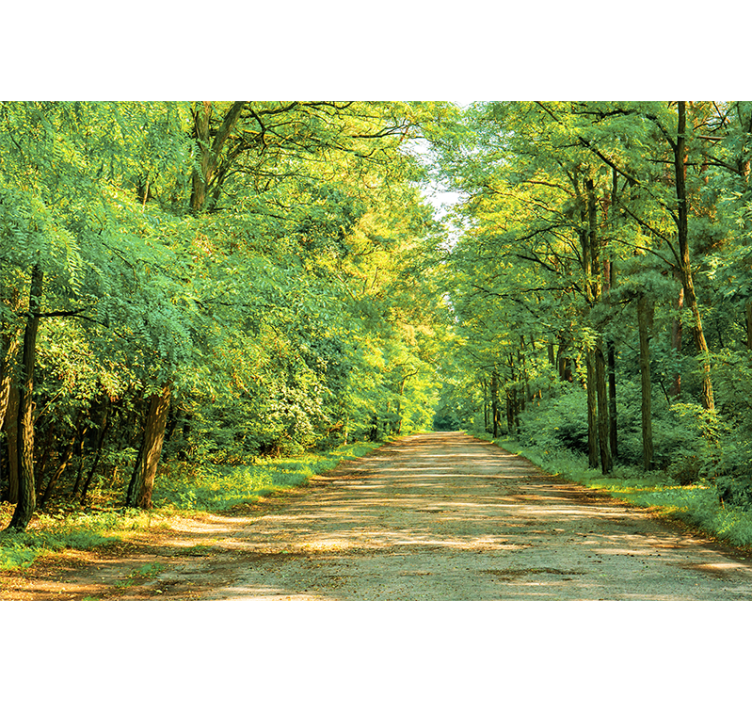 Green forest on a sunny day nature wall mural - TenStickers
