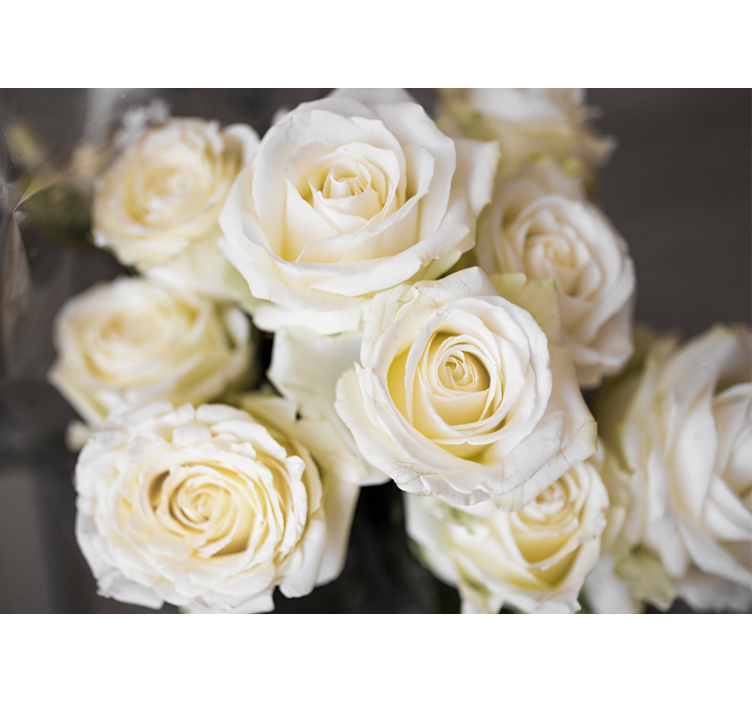 Flower mural elegant white roses - TenStickers