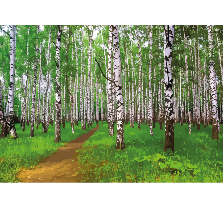 Birch trees forest with the sunlight wall mural - TenStickers