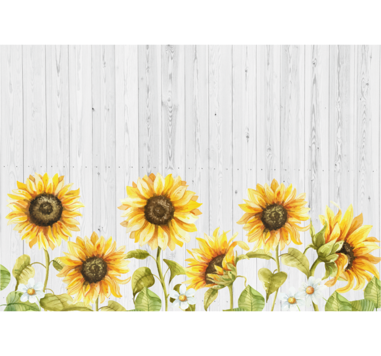 Sunflowers on gray wooden planks wall mural - TenStickers