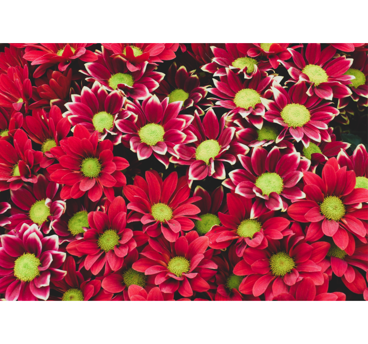 Flower mural crimson blossom arrangement - TenStickers