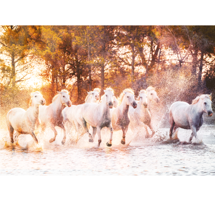 Animal wall mural majestic horses running - TenStickers
