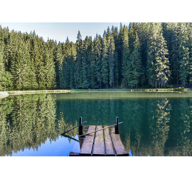 Nature wall mural serene woodland reflection - TenStickers