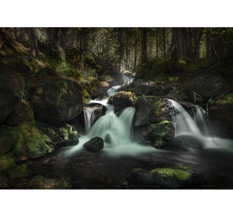 Waterfall mural tranquil forest stream - TenStickers