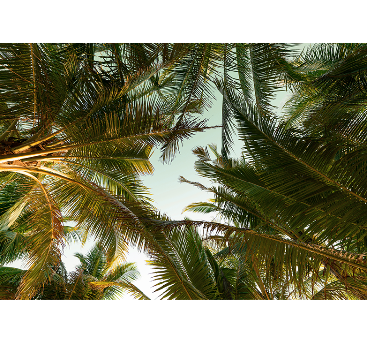 Green palm tree leaves  Forest Wall Mural - TenStickers