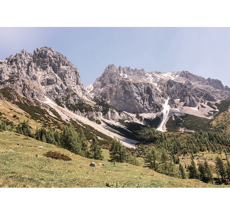 Green field with snowed Mountain wall mural - TenStickers