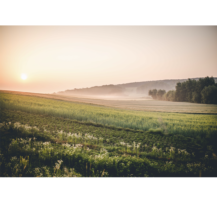 Sunset in the green fields Mountain wall mural - TenStickers