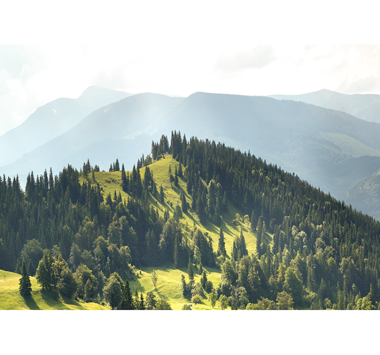 Landscape mural wallpaper mountain forest view - TenStickers