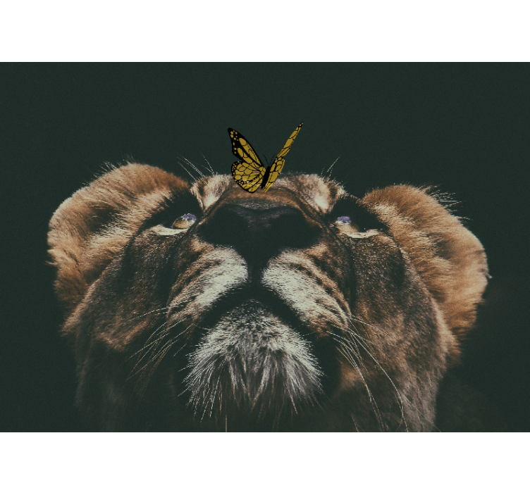 Butterfly Lion Portrait africa wall mural - TenStickers
