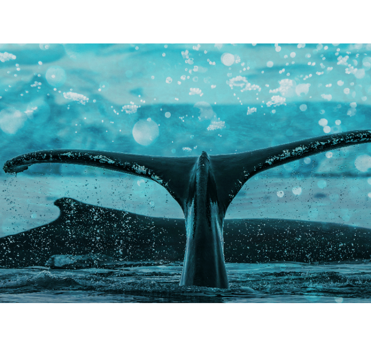 Stunning underwater whale in africa wall mural - TenStickers