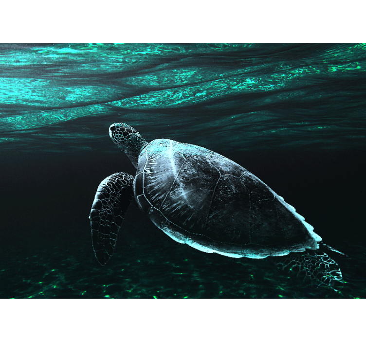 Animal wall mural majestic sea turtle - TenStickers