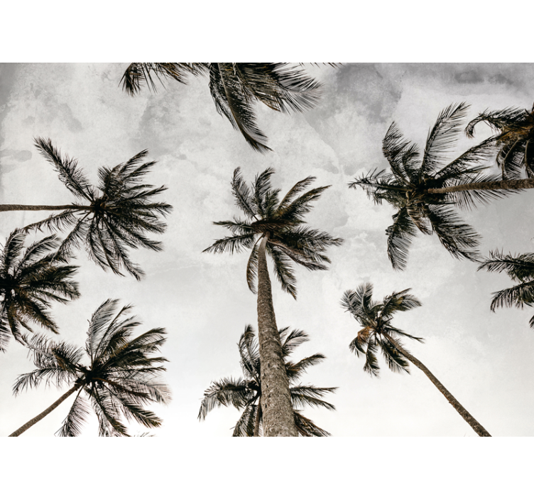 Low angle photography of palm trees mural - TenStickers