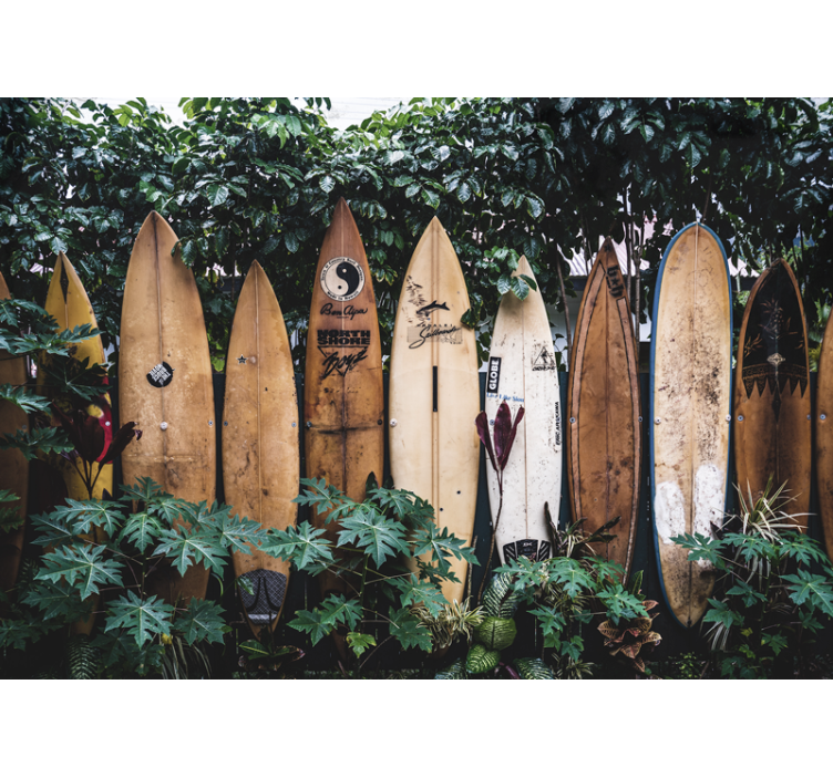 Vehicle mural surfboards showcased - TenStickers