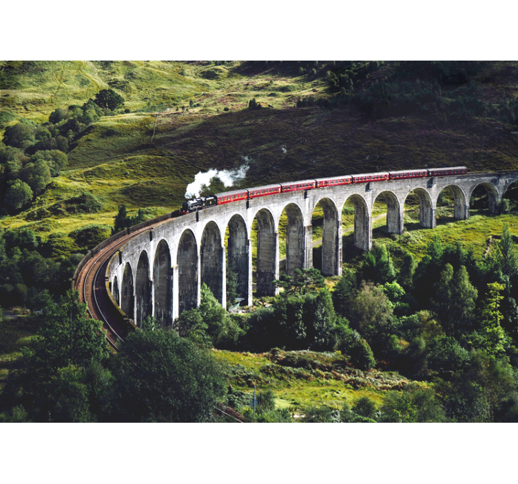 Train on bridge surrounded with trees mural - TenStickers