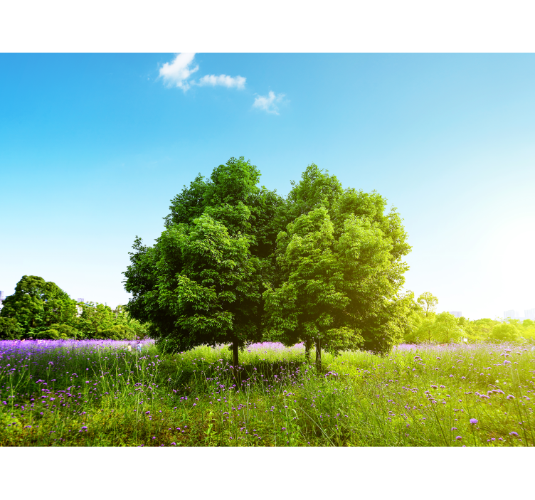 Nature wall mural lush green trees - TenStickers