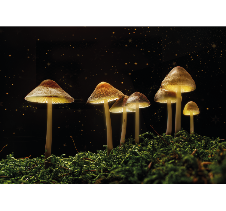 Nature wall mural glowing mushroom scene - TenStickers