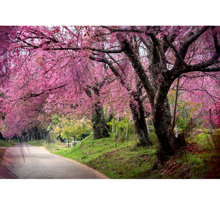 Flower mural blossom path - TenStickers