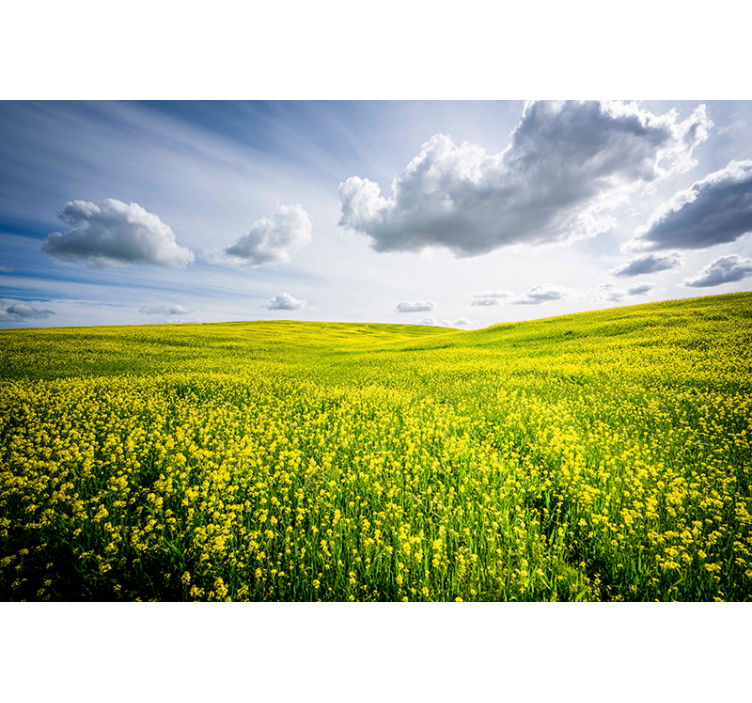Clouds and field aesthetic nature wall mural - TenStickers