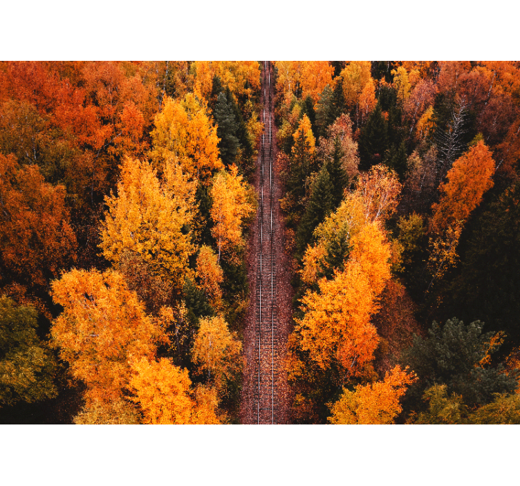 Landscape mural wallpaper autumn woodland trail - TenStickers