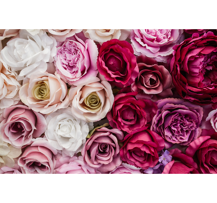 Flower mural beautiful rose collection - TenStickers