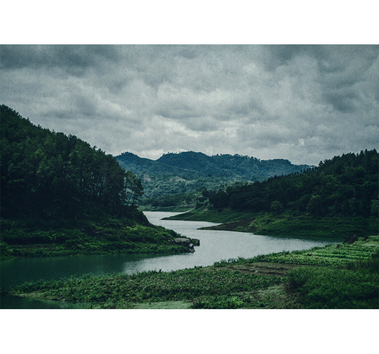 Water and forest aesthetic Wall Mural - TenStickers