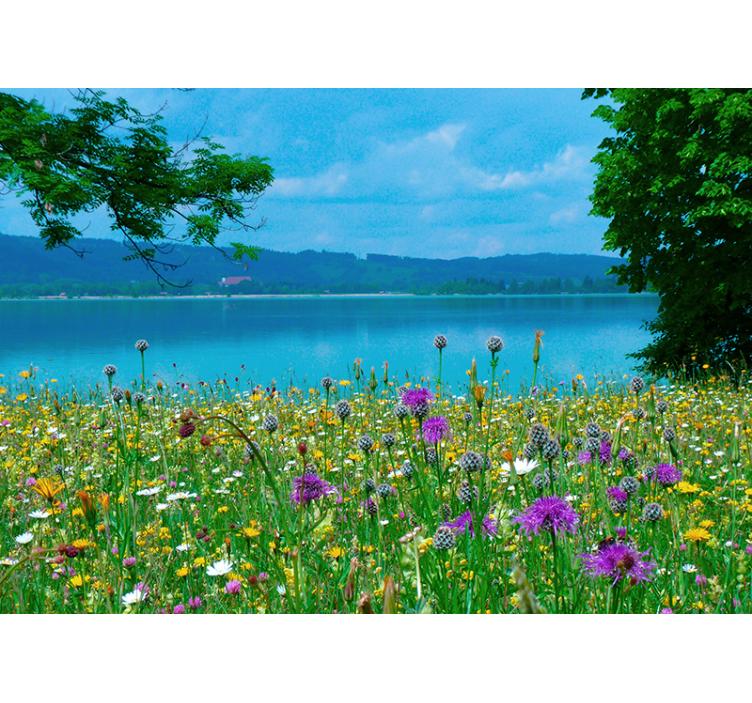 "Cottagecore" spring lake nature wall mural - TenStickers