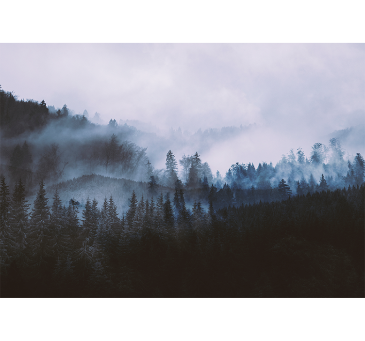 Forest wall mural misty evergreen landscape - TenStickers