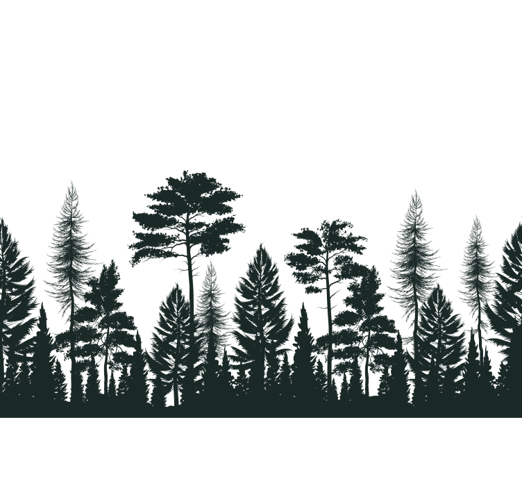 Pine trees silhouette  Forest Wall Mural - TenStickers