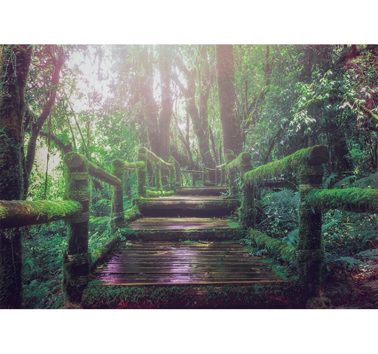 Beautiful green moss stairs  Forest Wall Mural - TenStickers