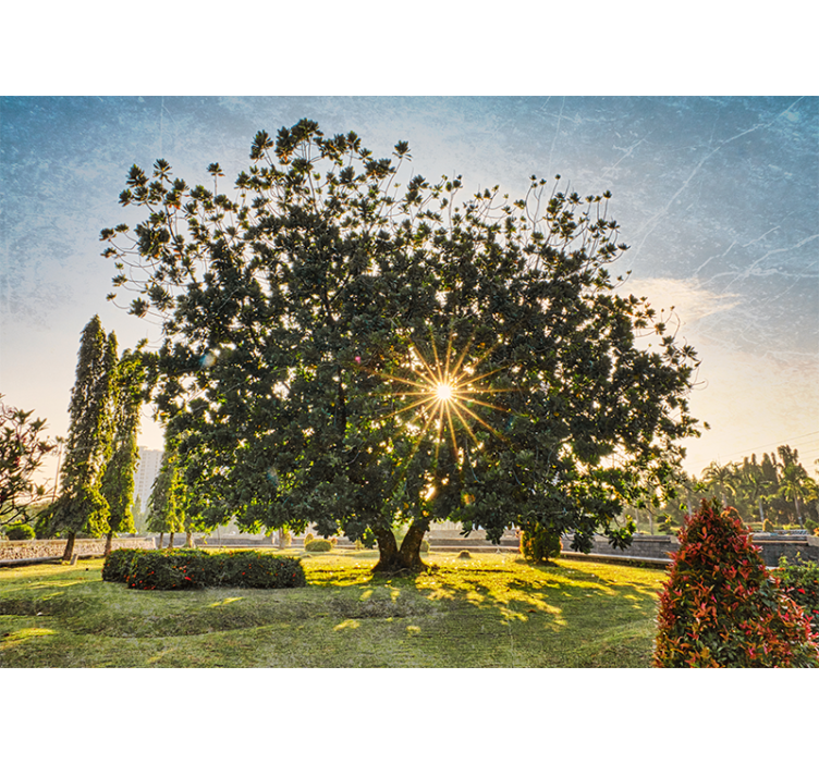 Nature wall mural sunny tree landscape - TenStickers