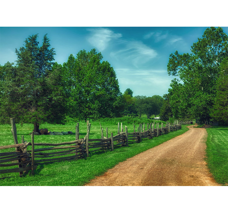 Landscape mural wallpaper vibrant green pathway - TenStickers