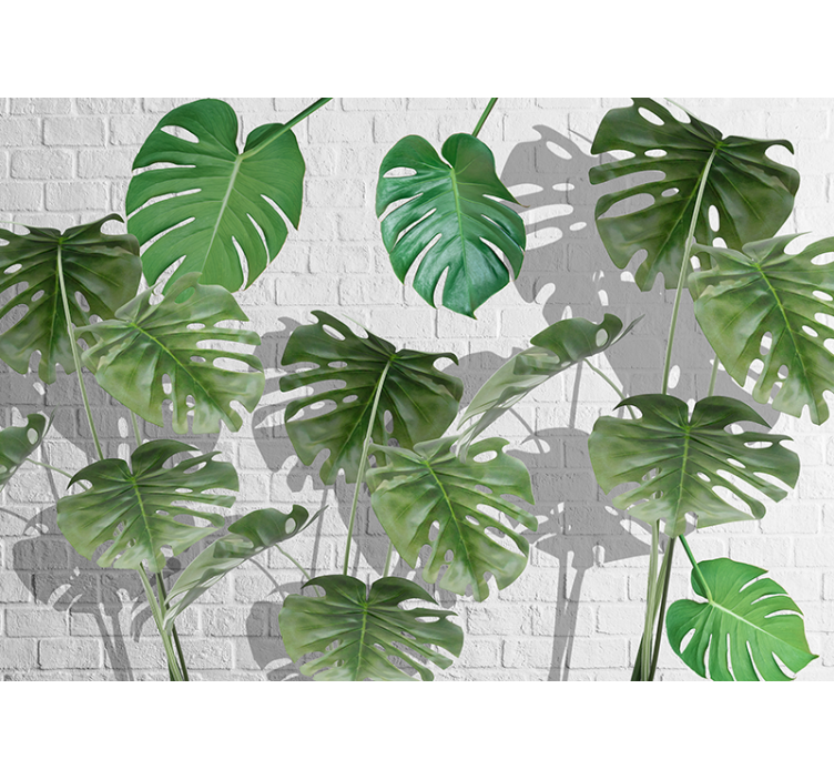 Nature wall mural monstera leaf display - TenStickers