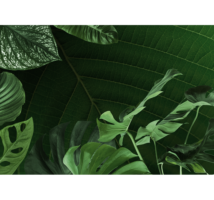 Realistic tropical leaf living room wall mural - TenStickers