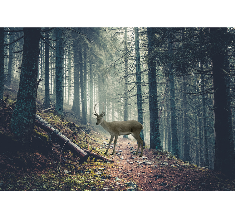 Forest wall mural stag in woodland scene - TenStickers