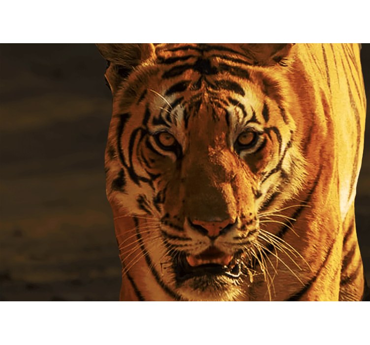 Lion mural majestic tiger stare - TenStickers