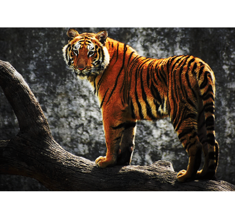 Animal wall mural regal tiger pose - TenStickers