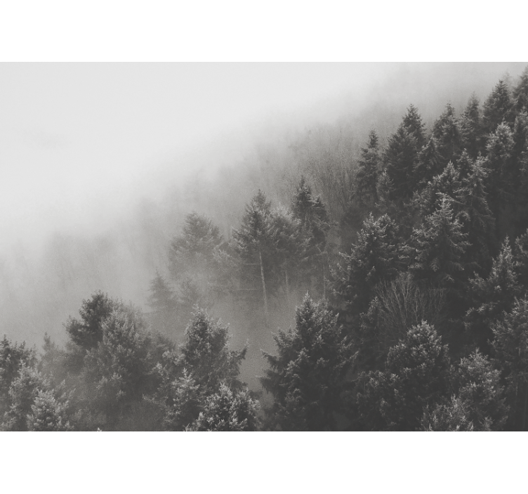 Forest wall mural misty pine landscape - TenStickers