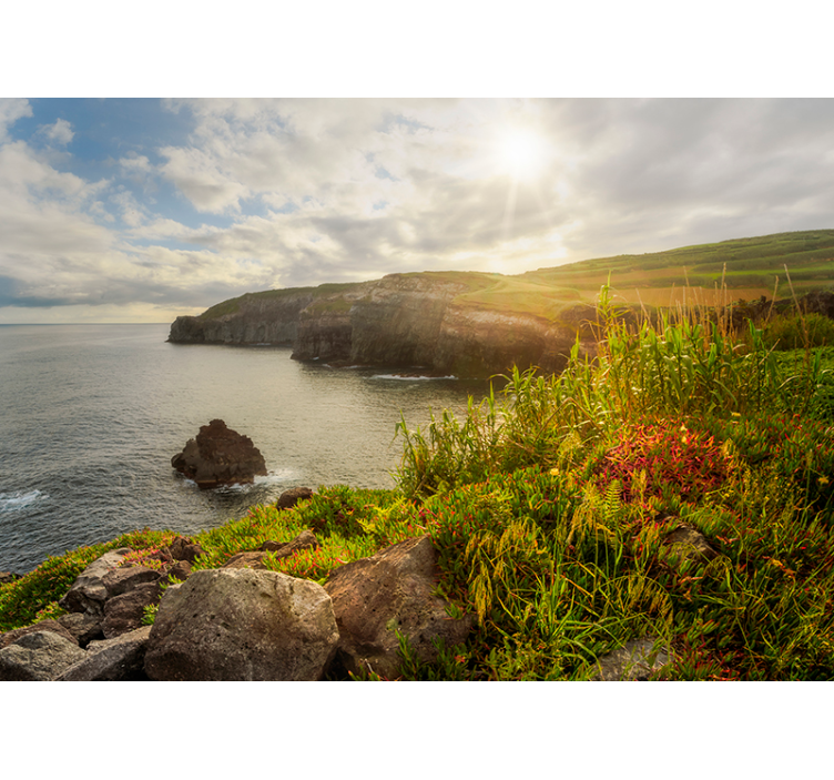 Coastal Cliffs Vista landscape mural wallpaper - TenStickers
