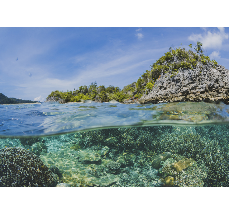 Underwater Seascape landscape mural wallpaper - TenStickers