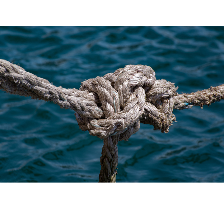 Nautical Knot Strength sea mural - TenStickers