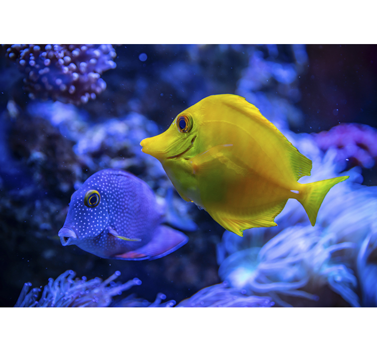 Aquatic Life Scene animal wall mural - TenStickers