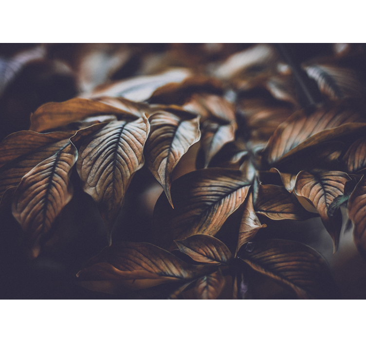 Autumn Leaves Close-up wall mural - TenStickers