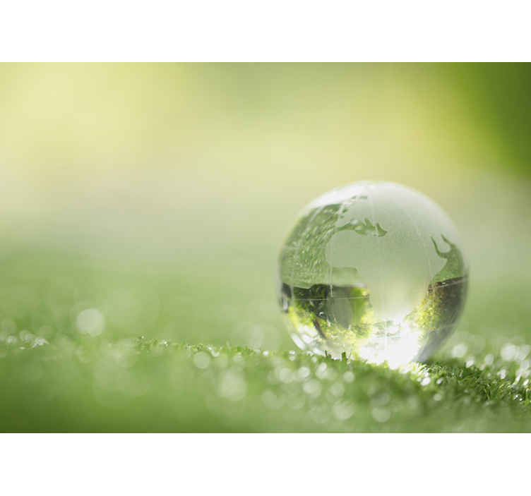 Nature wall mural globe on grass - TenStickers