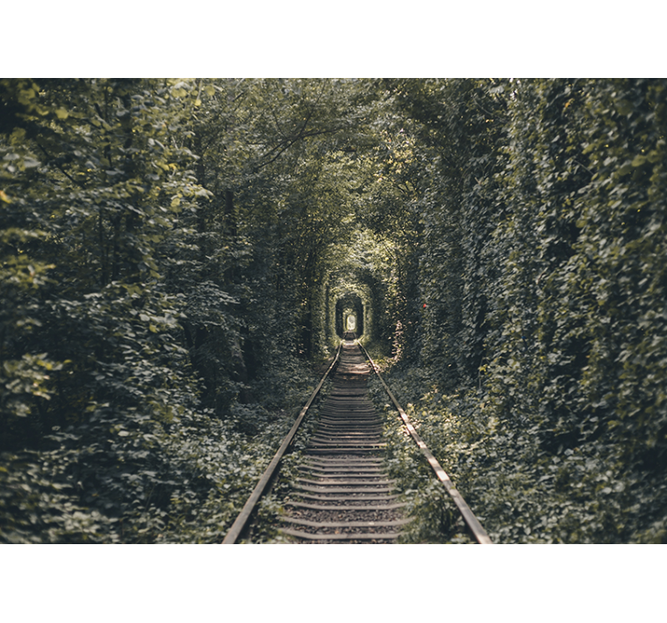 Landscape mural wallpaper railway tunnel path - TenStickers