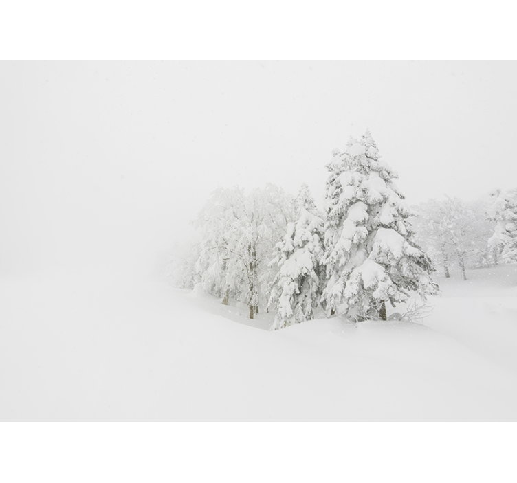 Nature wall mural wintery forest landscape - TenStickers