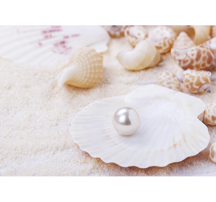 Nature wall mural shells with pearl design - TenStickers