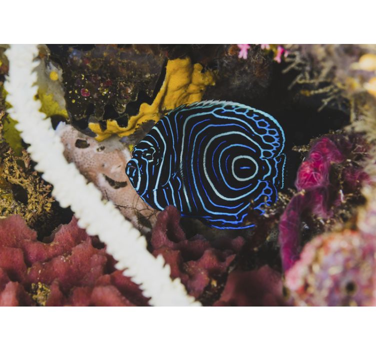 Animal wall mural blue fish patterns - TenStickers