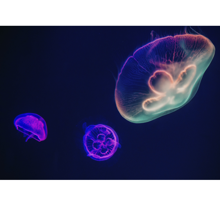 Fish mural colorful jellyfish showcase - TenStickers