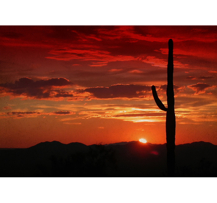 Cactus Sunset Shadow nature wall mural - TenStickers