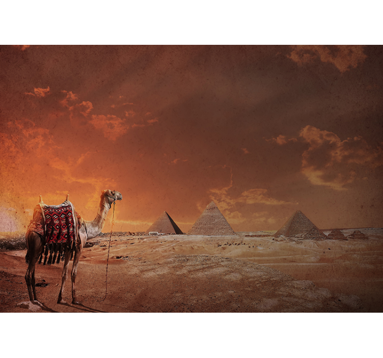 Pyramids and Camel landscape mural wallpaper - TenStickers